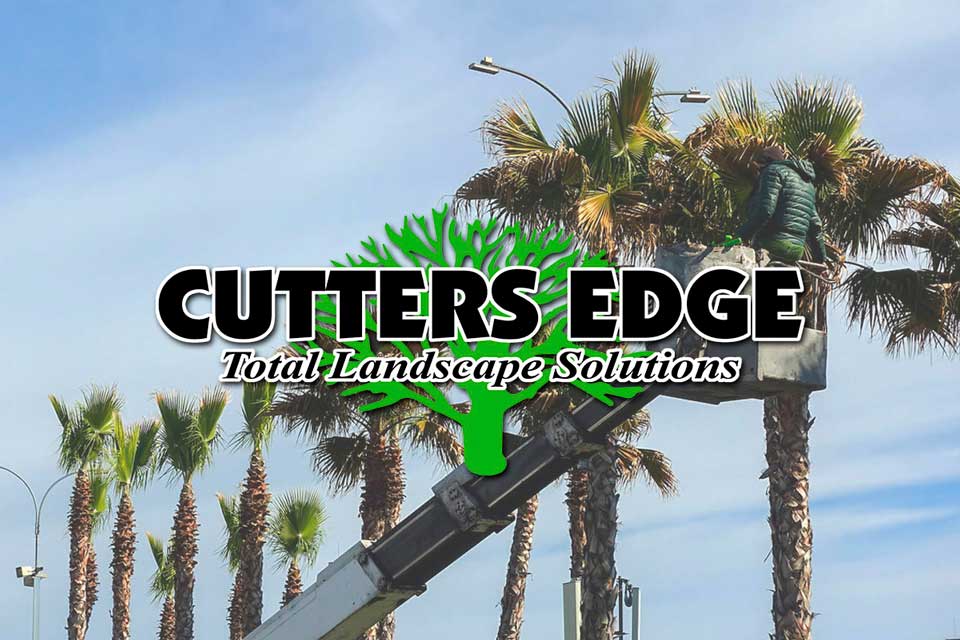 Cutters Edge Pro